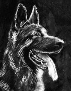 Commission a Custom Charcoal Pet Portrait