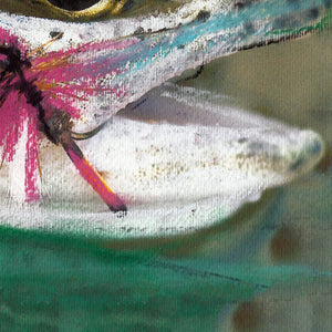 Rainbow Trout on the Fly – Pastel Fishing Art Print by Jack Tarpon