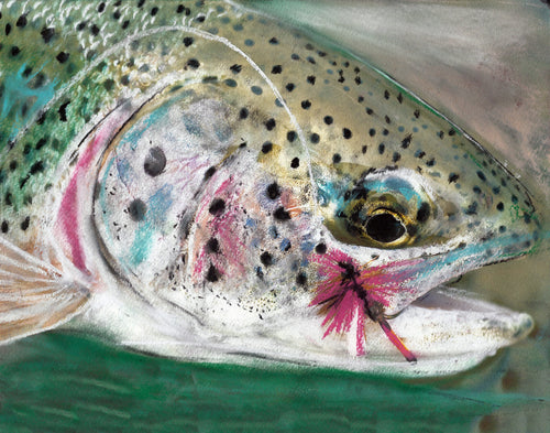 Rainbow Trout on the Fly – Pastel Fishing Art Print by Jack Tarpon