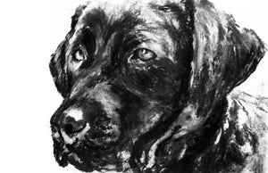 Commission a Custom Charcoal Pet Portrait