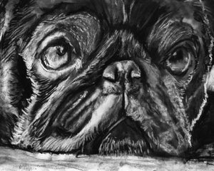 Commission a Custom Charcoal Pet Portrait