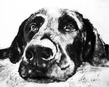 Load image into Gallery viewer, Commission a Custom Charcoal Pet Portrait