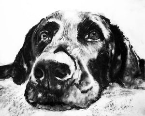 Commission a Custom Charcoal Pet Portrait