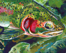 Load image into Gallery viewer, Rainbow Trout Close-Up – Bold Acrylic Fishing Art Print by Jack Tarpon