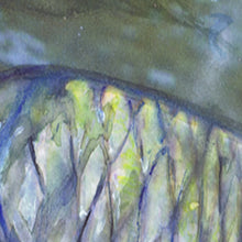 Load image into Gallery viewer, Rise of the Commons – Hand-Signed Common Carp Watercolor Art Print by Jack Tarpon