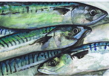 Load image into Gallery viewer, Vivid Mackerel Watercolour Art Print by Jack Tarpon