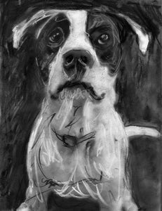 Commission a Custom Charcoal Pet Portrait