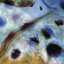 Load image into Gallery viewer, Golden Brown Trout – Pastel &amp; Watercolour Fishing Art Print by Jack Tarpon