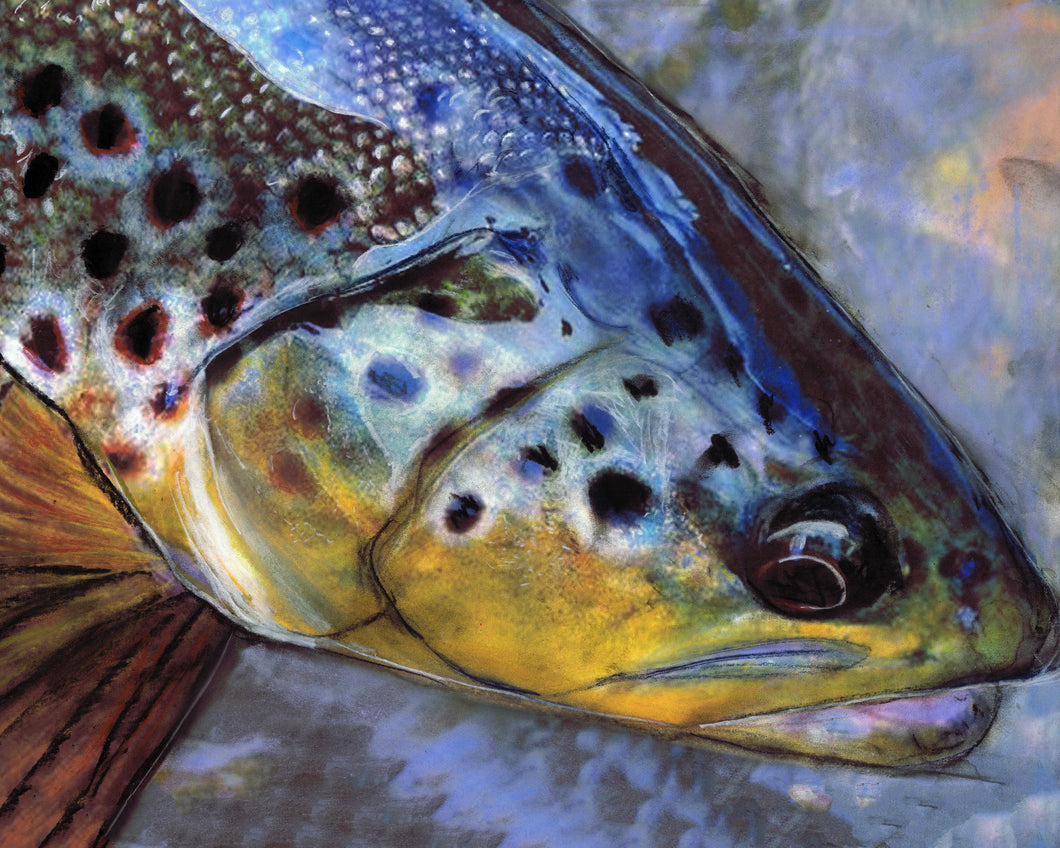 Golden Brown Trout – Pastel & Watercolour Fishing Art Print by Jack Tarpon
