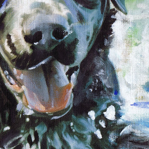 Black Labrador Swimming – Fine Art Print from an Oil Painting by Oscar Jetson