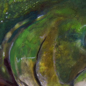 Brook Trout Glory – Fly Fishing Wall Art Print by Jack Tarpon