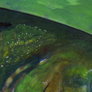 Brook Trout Glory – Fly Fishing Wall Art Print by Jack Tarpon
