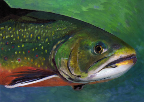 Brook Trout Glory – Fly Fishing Wall Art Print by Jack Tarpon