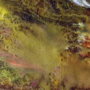 Brook Trout Blaze – Wild Fly Fishing Art Print by Jack Tarpon