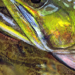 Brook Trout Blaze – Wild Fly Fishing Art Print by Jack Tarpon