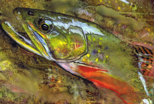 Brook Trout Blaze – Wild Fly Fishing Art Print by Jack Tarpon