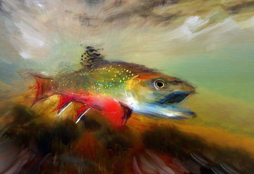 Brook Trout Surge – Mixed Media Fly Fishing Art Print by Jack Tarpon