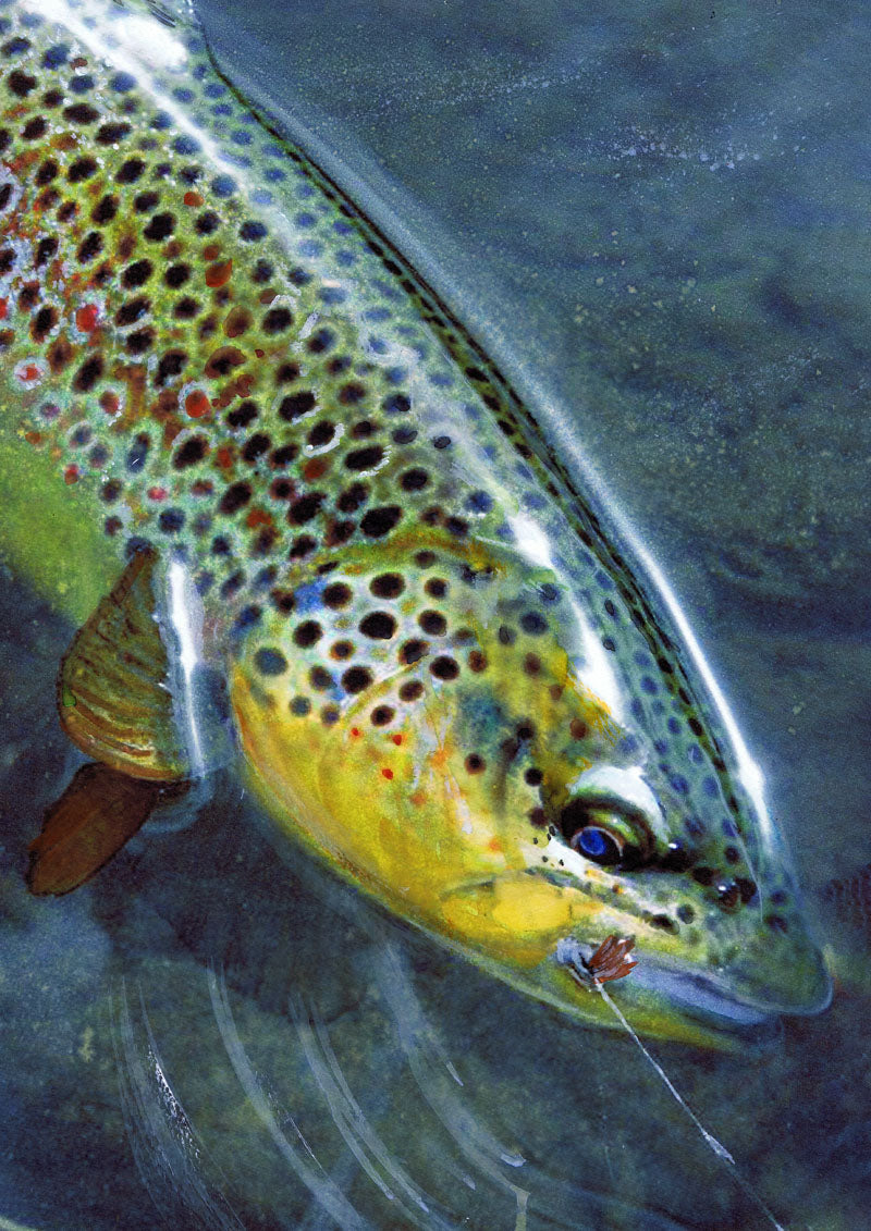 Autumn Stream Brown Trout – Hand-Signed Watercolor Art Print by Jack Tarpon – Giclée Reproduction