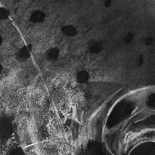 Load image into Gallery viewer, Shadow Rise – Charcoal Trout Fly Fishing Art Print by Jack Tarpon