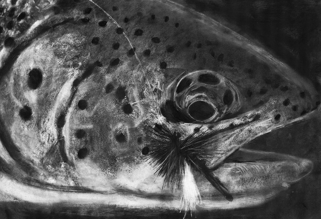 Shadow Rise – Charcoal Trout Fly Fishing Art Print by Jack Tarpon