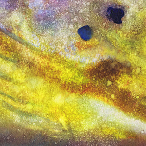 Specks of Gold – Brown Trout Fly Fishing Art Print by Jack Tarpon