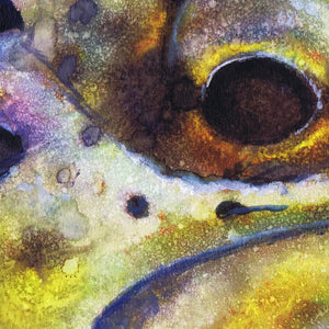Specks of Gold – Brown Trout Fly Fishing Art Print by Jack Tarpon