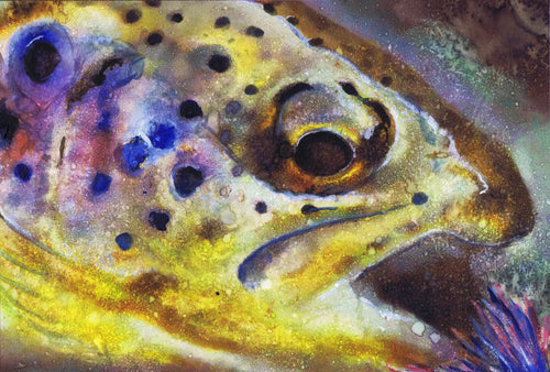 Specks of Gold – Brown Trout Fly Fishing Art Print by Jack Tarpon