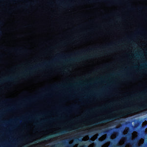 Midnight Rise – Brown Trout Fly Fishing Art Print by Jack Tarpon
