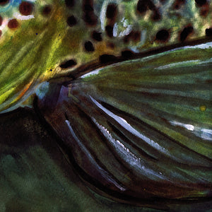 Midnight Rise – Brown Trout Fly Fishing Art Print by Jack Tarpon