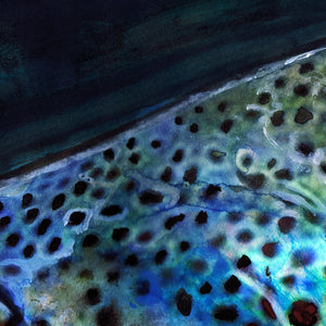 Midnight Rise – Brown Trout Fly Fishing Art Print by Jack Tarpon