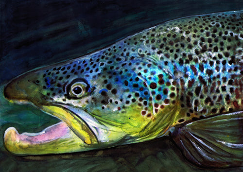 Midnight Rise – Brown Trout Fly Fishing Art Print by Jack Tarpon