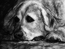 Load image into Gallery viewer, Commission a Custom Charcoal Pet Portrait