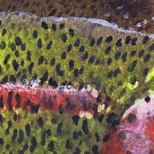 Twilight Waters – Rainbow Trout Fly Fishing Art Print by Jack Tarpon