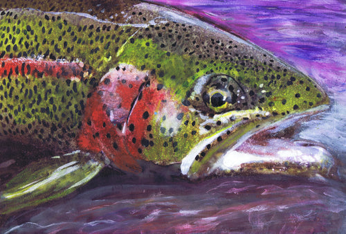 Twilight Waters – Rainbow Trout Fly Fishing Art Print by Jack Tarpon