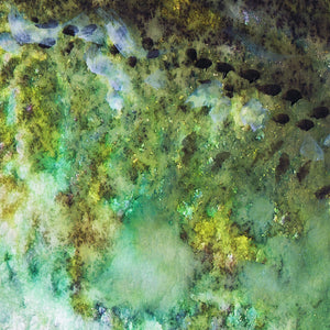 River Glow – Trout Mixed Media Fly Fishing Art Print by Jack Tarpon