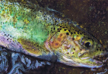 Load image into Gallery viewer, River Glow – Trout Mixed Media Fly Fishing Art Print by Jack Tarpon