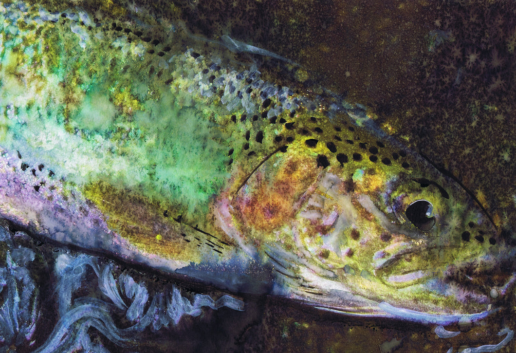 River Glow – Trout Mixed Media Fly Fishing Art Print by Jack Tarpon