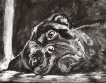 Load image into Gallery viewer, Commission a Custom Charcoal Pet Portrait