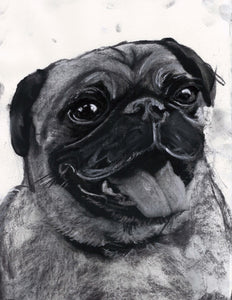 Commission a Custom Charcoal Pet Portrait