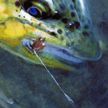 Load image into Gallery viewer, Brown Trout Hooked – Fly Fishing Art Print by Jack Tarpon