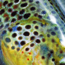 Load image into Gallery viewer, Brown Trout Hooked – Fly Fishing Art Print by Jack Tarpon