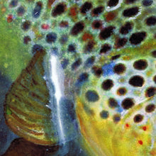 Load image into Gallery viewer, Brown Trout Hooked – Fly Fishing Art Print by Jack Tarpon