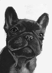 Black French Bulldog Wall Art Decor, Frenchie Puppy Owner Gift, Frenchy Memorial Art, Dog Mom Decor Choice Of Sizes Hand Signed By Dog Portrait Artist Oscar Jetson - Dog portraits by Oscar Jetson