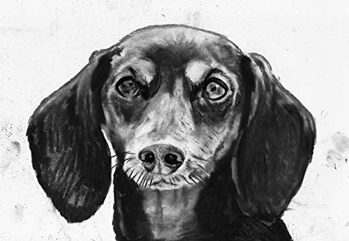 Dachshund Dog Wall Art Print, Black and White Dog Memorial Decor, Doxie Nursery Art, Dachshund Owner Gift, Dog Hand Signed Charcoal Drawing Print By Oscar Jetson - Dog portraits by Oscar Jetson