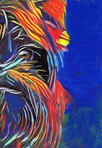 Affenpinscher Wall Art Print, Colorful Dog Artwork, Dog Owner Gift, Colorful Modern Art, Dog Pastel Art Print, Dog Owner Wall Art Print - Dog portraits by Oscar Jetson