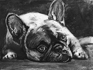 French Bulldog Wall Art Print, Black And White Frenchie Owner Gift, Frenchy Memorial Artwork, Charcoal Dog Drawing Print Choice Of Sizes, Hand Signed By Pet Portrait Artist Oscar Jetson - Dog portraits by Oscar Jetson