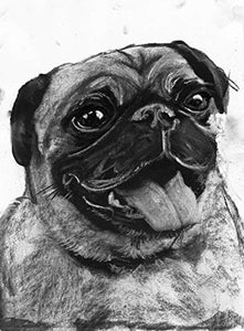 Happy Pug Dog Wall Art Print, Black and White Pug Nursery Art, Pug Owner Gift, Dog Memorial Decor, Dog Charcoal Drawing Hand Signed By Pet Portrait Artist Oscar Jetson Choice Of Sizes. - Dog portraits by Oscar Jetson