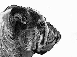 English Bulldog Drawing Wall Art Print, Dog Gift, English Bulldog Memorial, Black and White Drawing Decor, Hand Signed By Oscar Jetson Choice Of Sizes - Dog portraits by Oscar Jetson