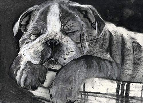 English Bulldog Puppy Wall Art, Dog Mom Gift, Bulldog Owner Gift, English Bulldog Memorial, Black and White Bulldog Drawing Decor Hand Signed By Oscar Jetsin Choice Of Sizes - Dog portraits by Oscar Jetson