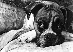 Boxer Dog Art, Boxer Dog Gift, Boxer Dog Artwork, Charcoal Dog Wall Art Print, Black and White Boxer Dog Drawing Decor Hand Signed by Oscar Jetson - Dog portraits by Oscar Jetson